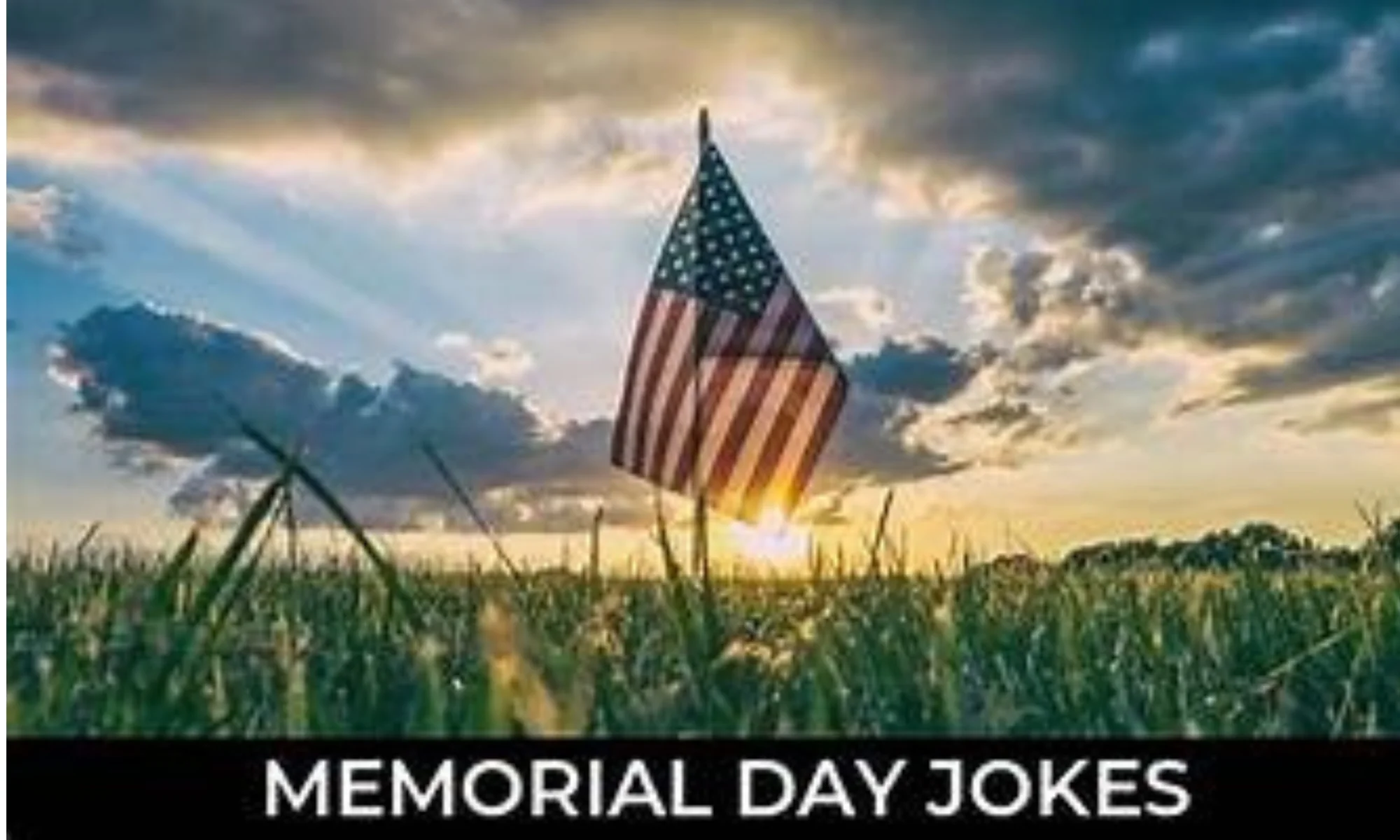 Funny Memorial Day Puns